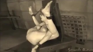 Здесь сучки чувствуют себя хорошо